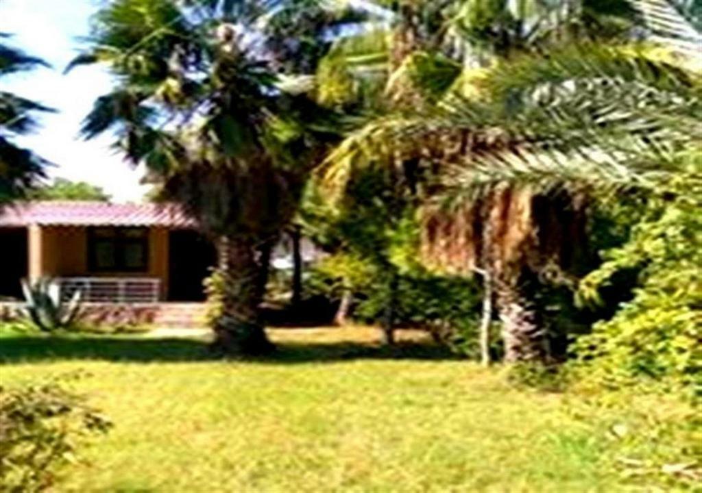 Aslihan Motel Anamur Ngoại thất bức ảnh