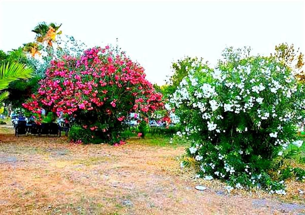 Aslihan Motel Anamur Ngoại thất bức ảnh